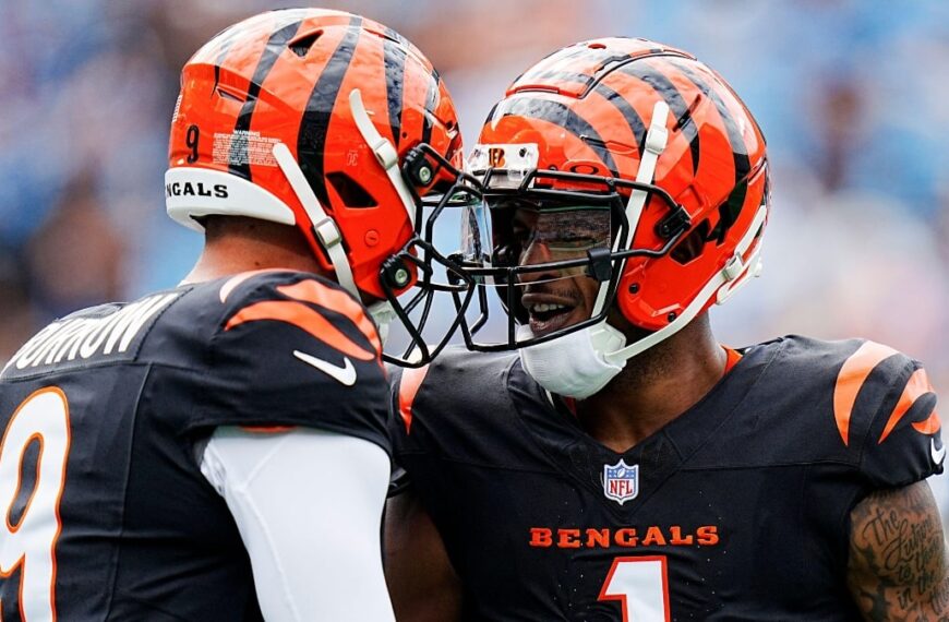 Bengals