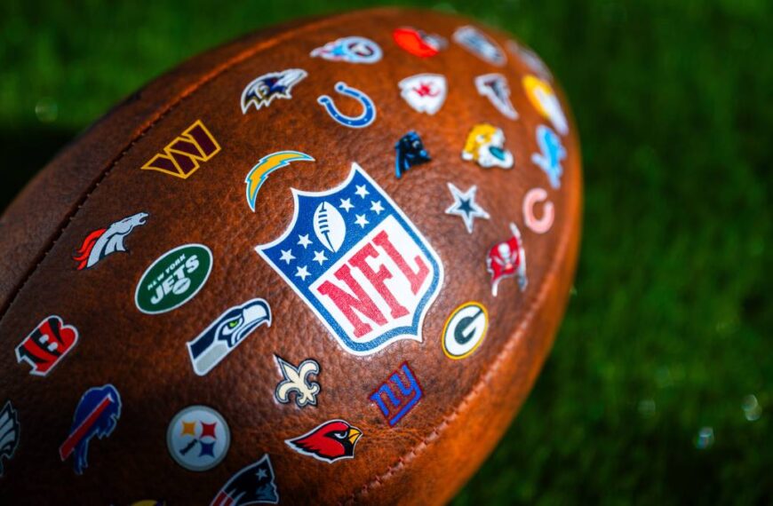 The NFL American football