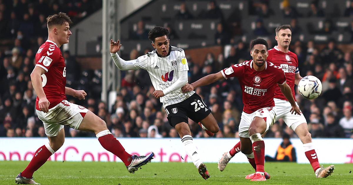 Cardiff City vs Fulham betting tips: Championship preview, predictions & odds