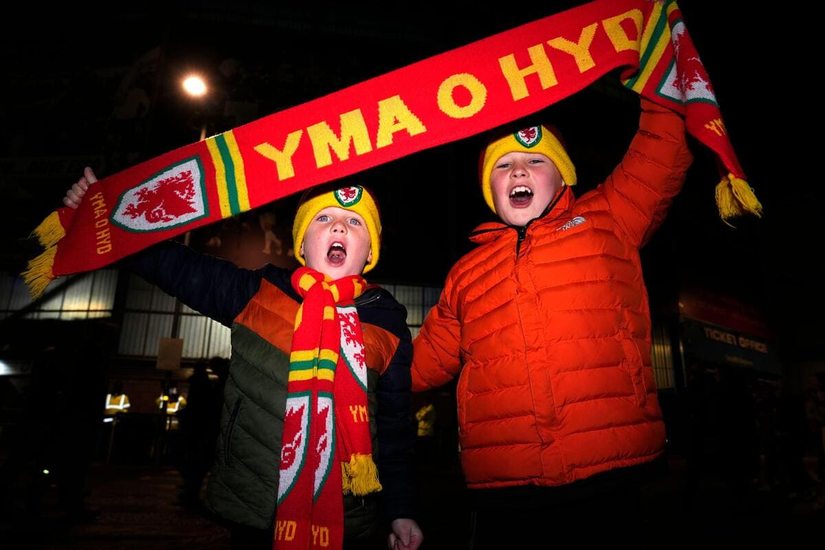 Wales v Iceland